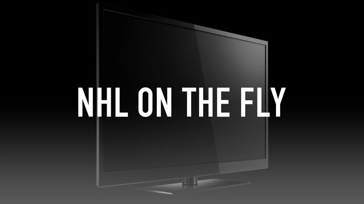 NHL On The Fly