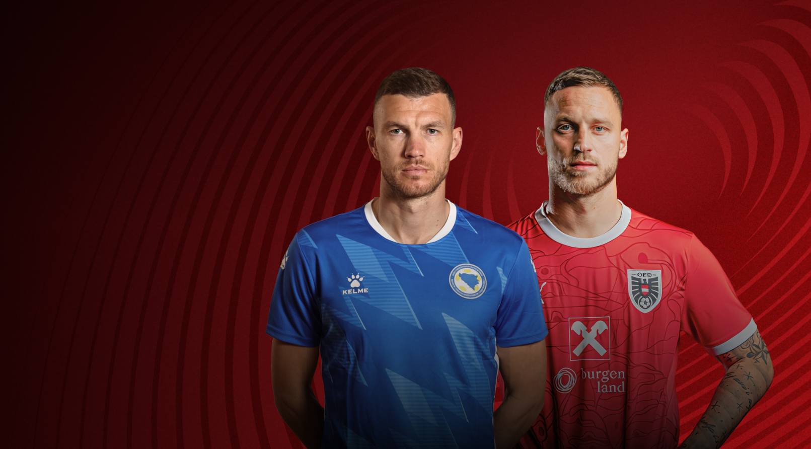 Босния и Герцеговина - Австрия